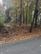 0 Clift Trail, Rossville, GA